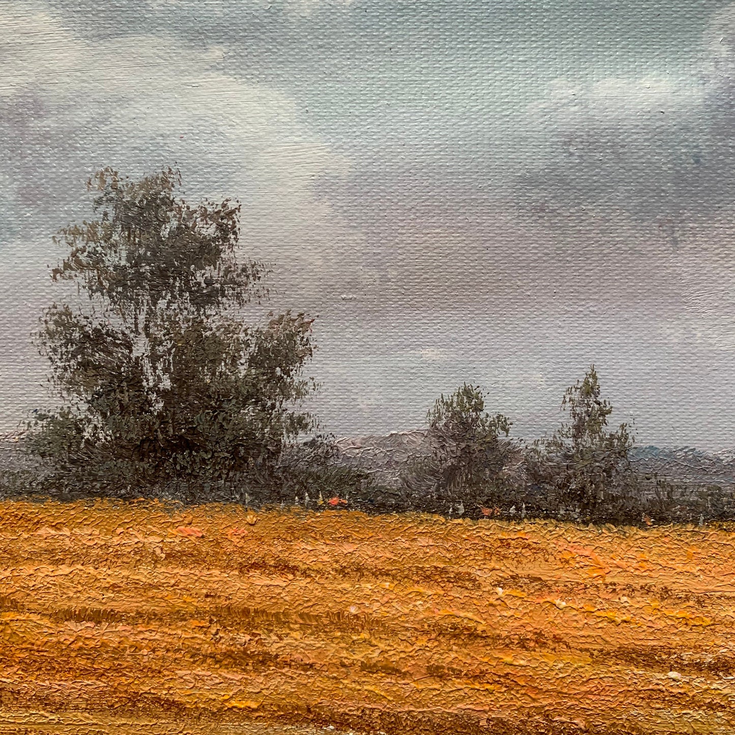 100% hand-painted 20in×24 in oil paintings The classical field